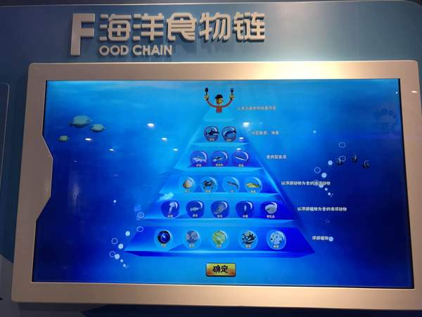海洋食物鏈